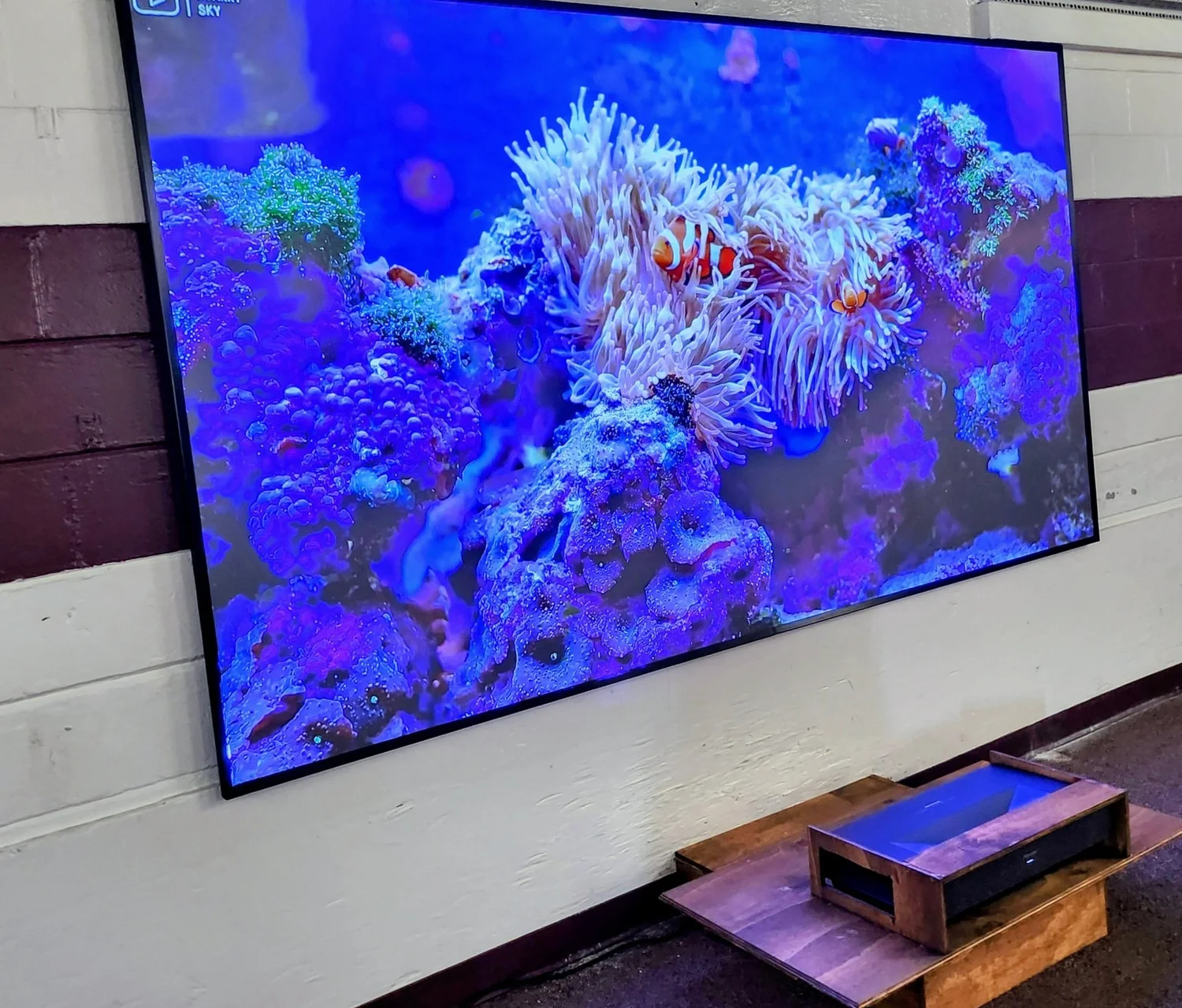 Illuminated feature display at an evening exhibit event
