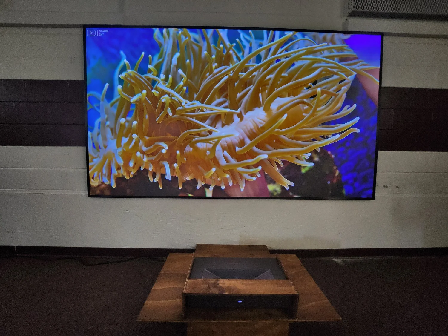 Custom large-format display installation on a feature wall